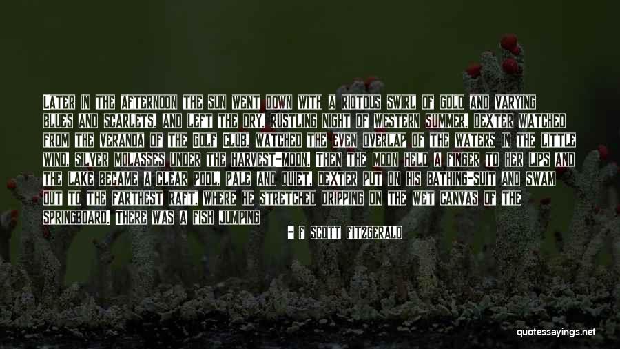 Luxemburg Quotes By F Scott Fitzgerald