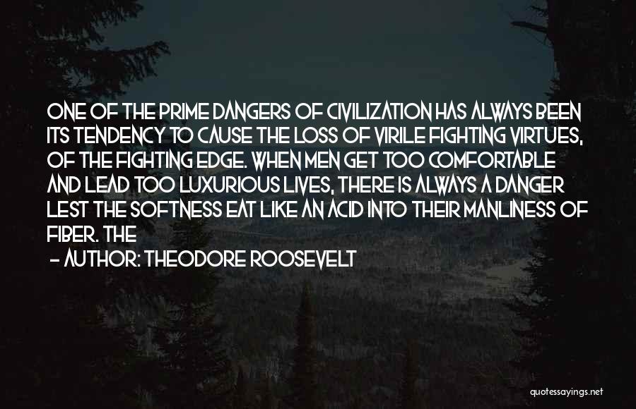 Luxurious Quotes By Theodore Roosevelt