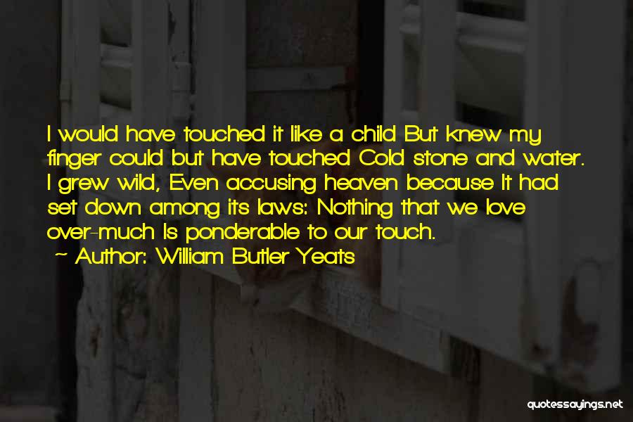Luz Divina De Tecpan Quotes By William Butler Yeats