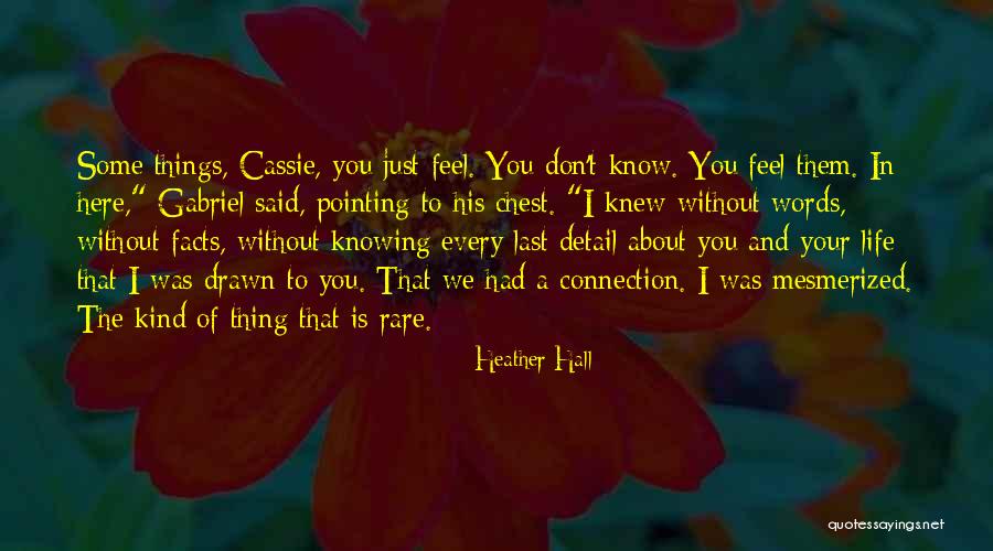 Luzes De Estrada Quotes By Heather Hall Luzes De Estrada Quotes By Heather Hall