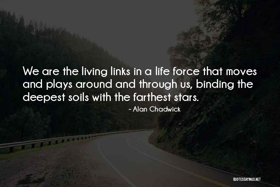 Luzinhas Decorativas Quotes By Alan Chadwick Luzinhas Decorativas Quotes By Alan Chadwick