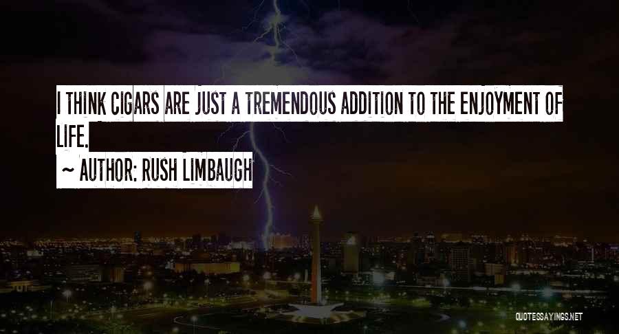 Luzviminda Cayanan Quotes By Rush Limbaugh