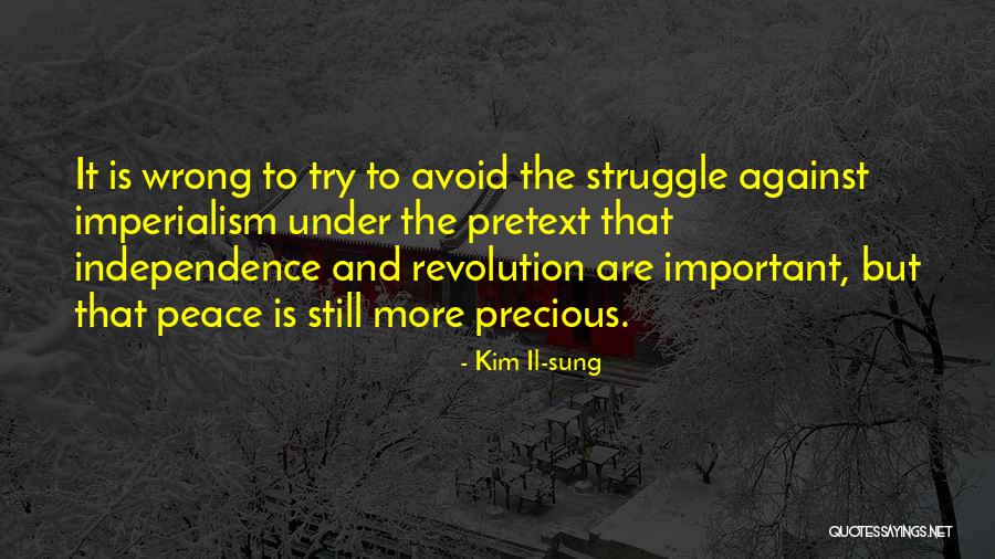 Lwando Majiza Quotes By Kim Il-sung Lwando Majiza Quotes By Kim Il-sung