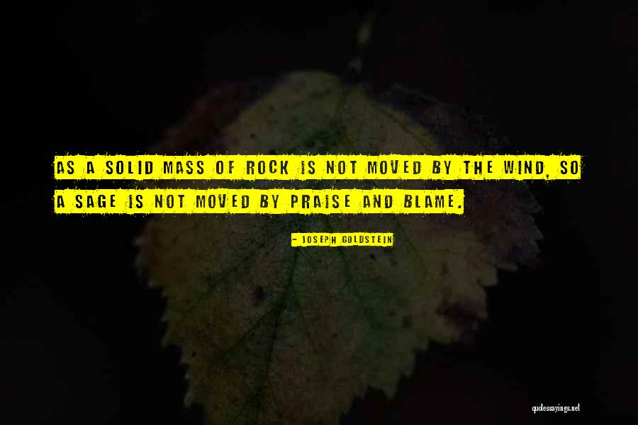 Lwando Sontshalaba Quotes By Joseph Goldstein Lwando Sontshalaba Quotes By Joseph Goldstein