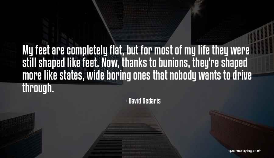 Lxxiv Quotes By David Sedaris Lxxiv Quotes By David Sedaris