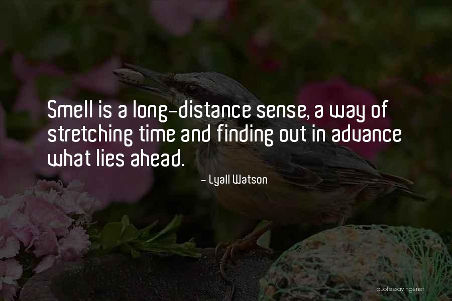 Lyall Watson Quotes 344774