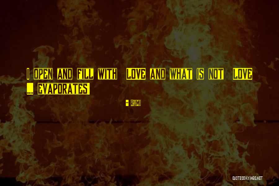 Lyanda Botha Quotes By Rumi Lyanda Botha Quotes By Rumi