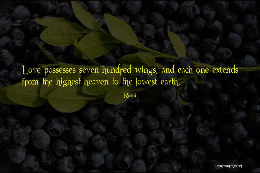 Lyder Johnson Quotes By Rumi Lyder Johnson Quotes By Rumi