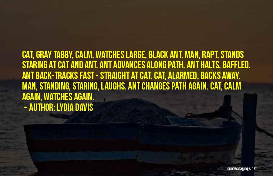 Lydia Davis Quotes 1186215