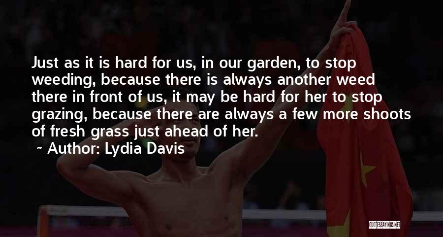 Lydia Davis Quotes 571750