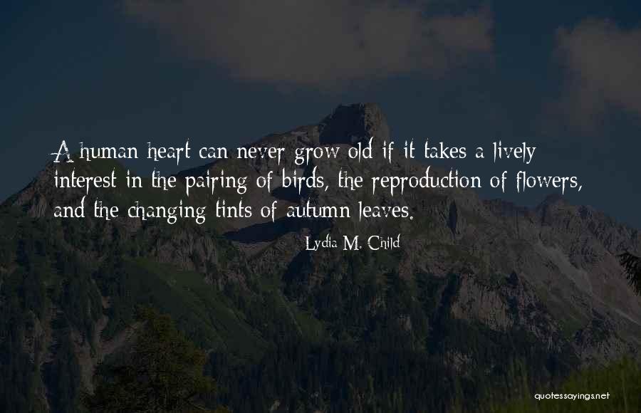 Lydia M. Child Quotes 434590 Lydia M. Child Quotes 434590