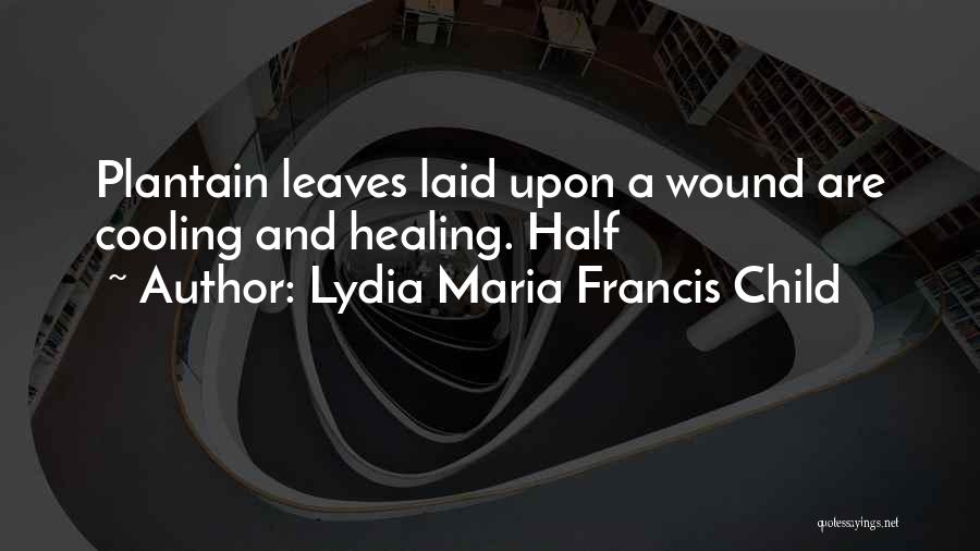 Lydia Maria Francis Child Quotes 320045