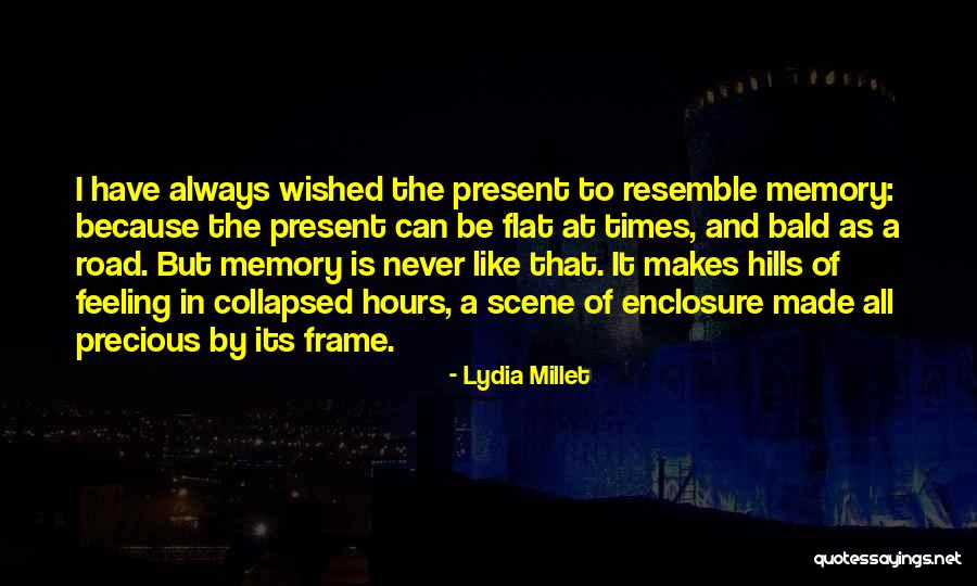 Lydia Millet Quotes 2163693