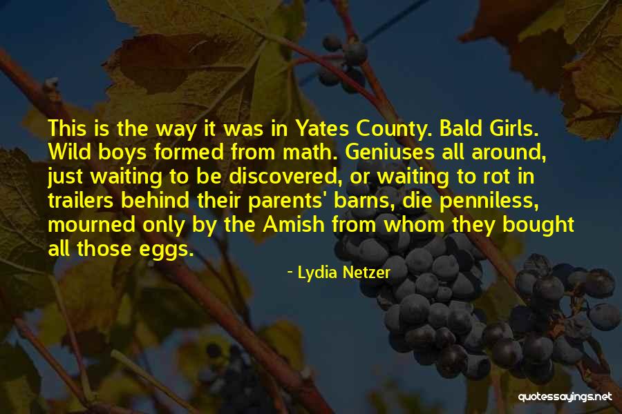 Lydia Netzer Quotes 1422797