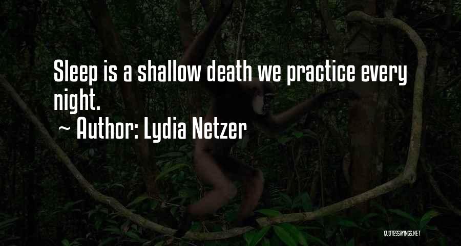 Lydia Netzer Quotes 333648