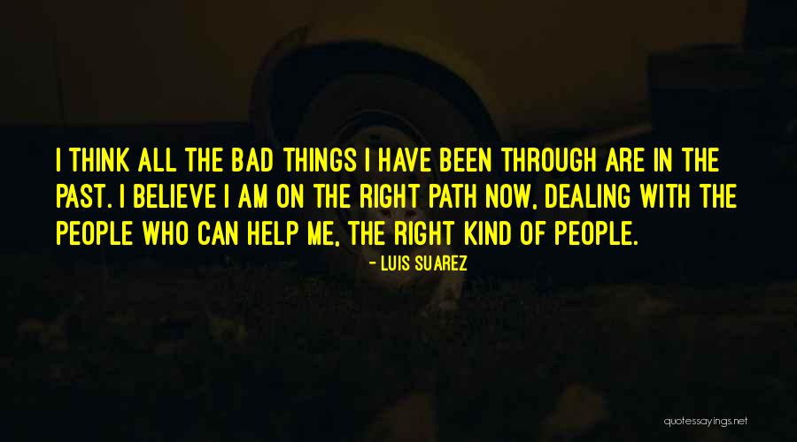 Lygaeidae Quotes By Luis Suarez Lygaeidae Quotes By Luis Suarez