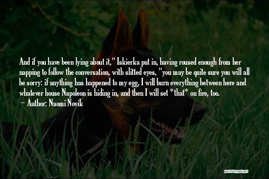 Lying And Hiding Things Quotes By Naomi Novik
