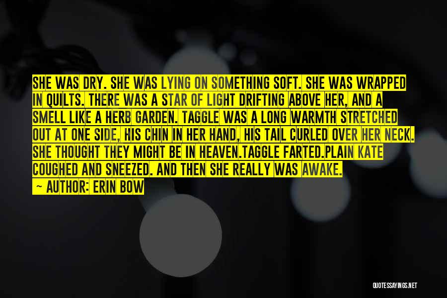 Lying Awake Quotes By Erin Bow