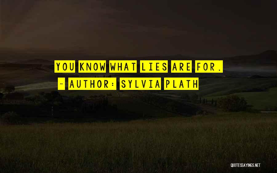 Lying Deceit Quotes By Sylvia Plath