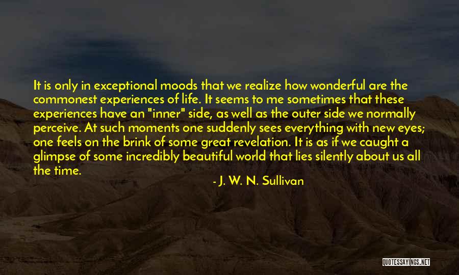 Lying Eyes Quotes By J. W. N. Sullivan Lying Eyes Quotes By J. W. N. Sullivan