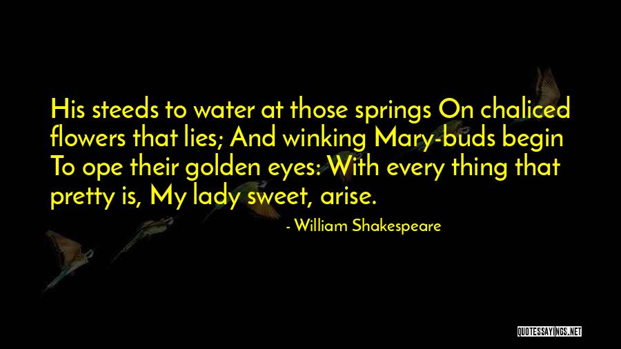 Lying Eyes Quotes By William Shakespeare Lying Eyes Quotes By William Shakespeare