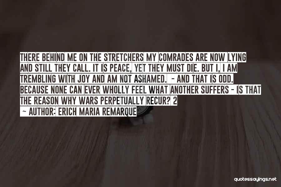 Lying For No Reason Quotes By Erich Maria Remarque