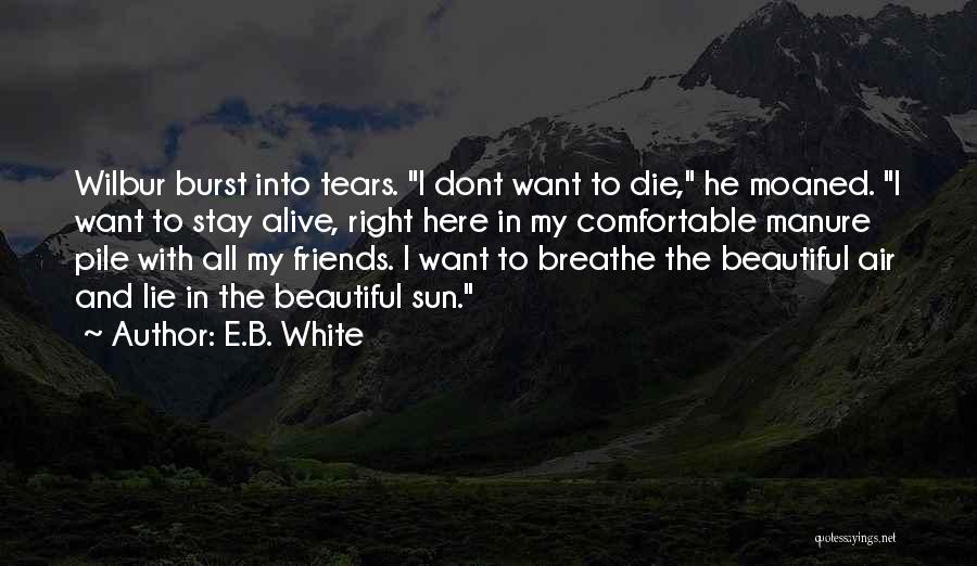 Lying Friends Quotes By E.B. White