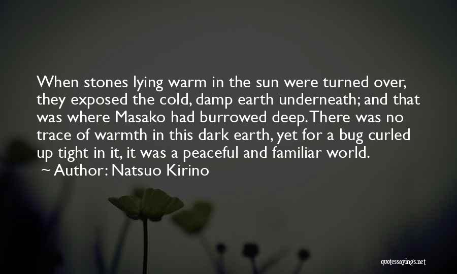 Lying In The Dark Quotes By Natsuo Kirino