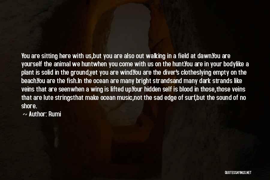 Lying In The Dark Quotes By Rumi