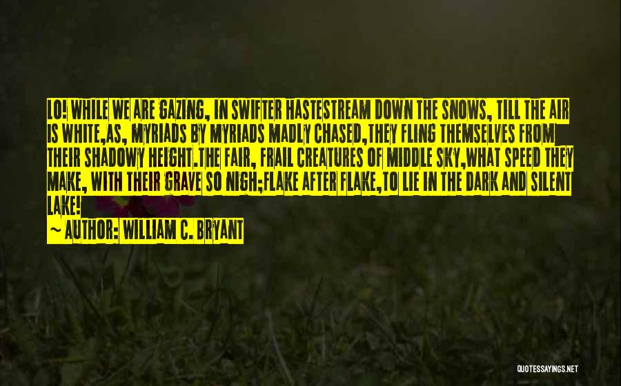 Lying In The Dark Quotes By William C. Bryant