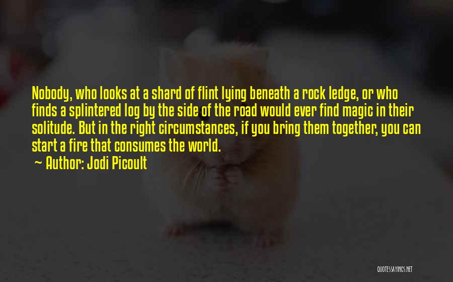 Lying In The Road Quotes By Jodi Picoult