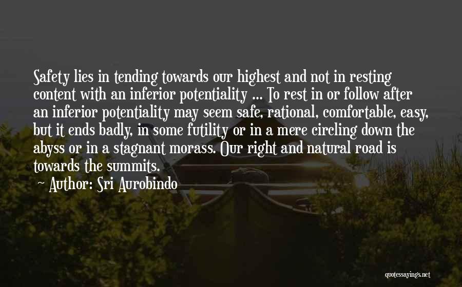 Lying In The Road Quotes By Sri Aurobindo