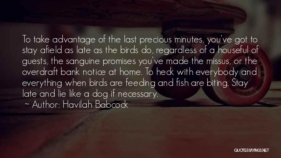 Lying Necessary Quotes By Havilah Babcock