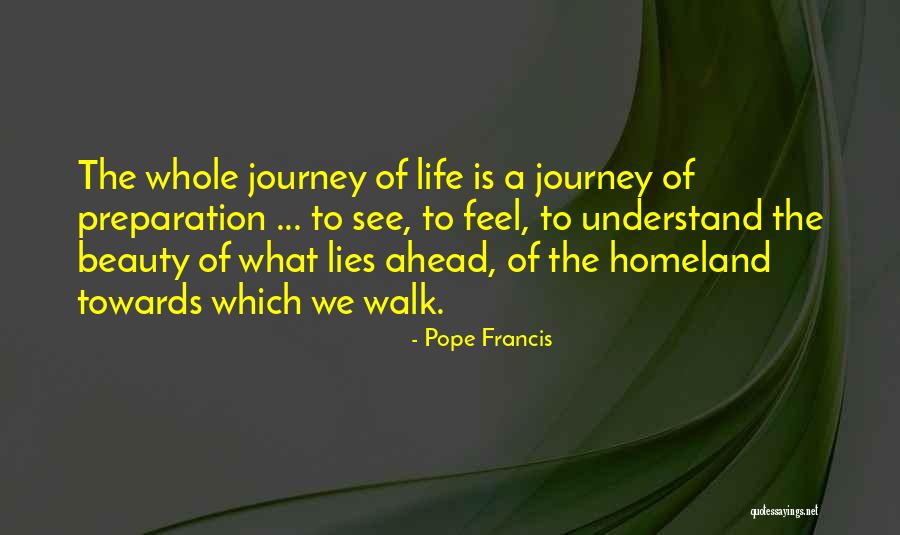 Lying To Get Ahead Quotes By Pope Francis