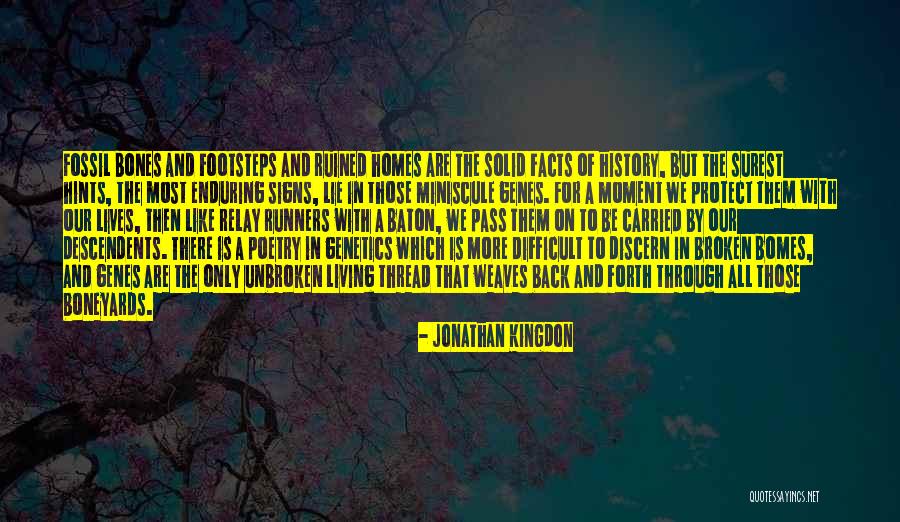 Lying To Protect Yourself Quotes By Jonathan Kingdon Lying To Protect Yourself Quotes By Jonathan Kingdon