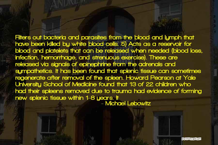 Lymph Quotes By Michael Lebowitz Lymph Quotes By Michael Lebowitz