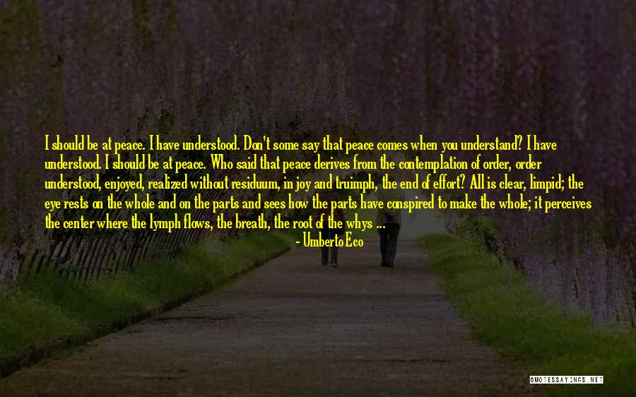 Lymph Quotes By Umberto Eco Lymph Quotes By Umberto Eco