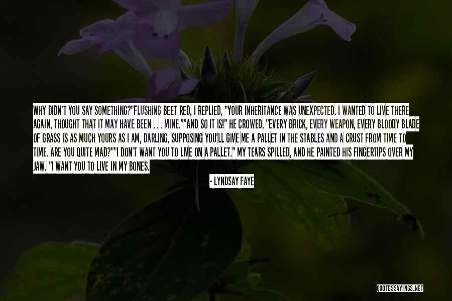 Lyndsay Faye Quotes 1411920 Lyndsay Faye Quotes 1411920