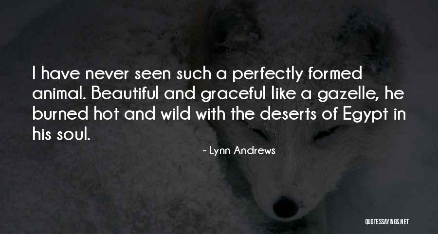 Lynn Andrews Quotes 1315051 Lynn Andrews Quotes 1315051