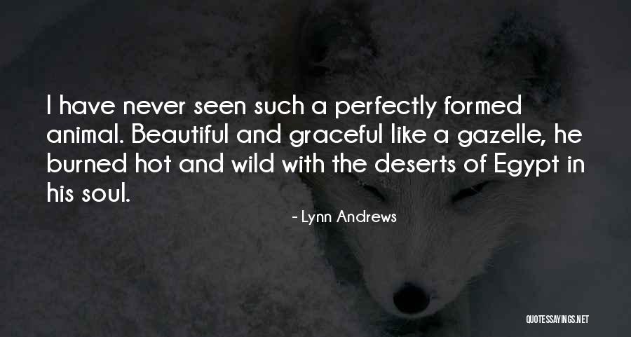 Lynn Andrews Quotes 1315051