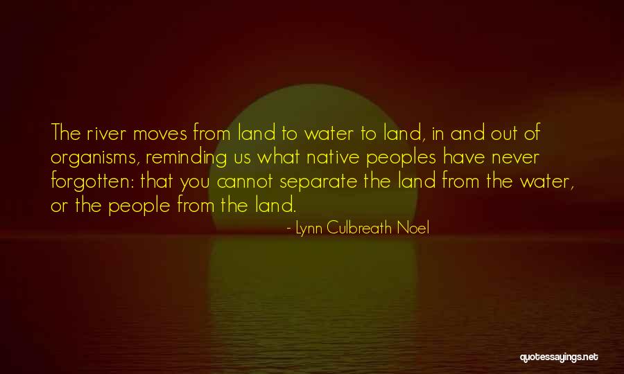 Lynn Culbreath Noel Quotes 252318 Lynn Culbreath Noel Quotes 252318
