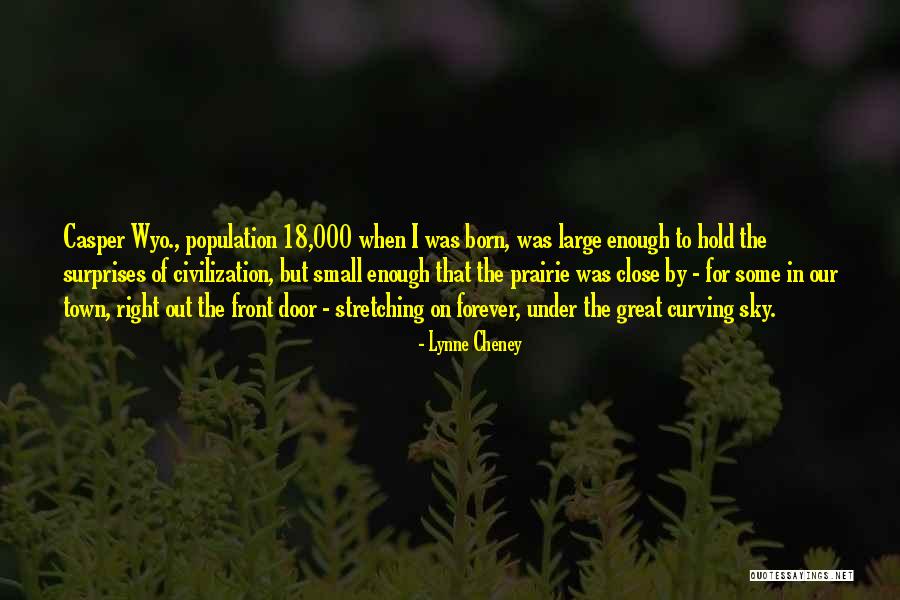 Lynne Cheney Quotes 1710134