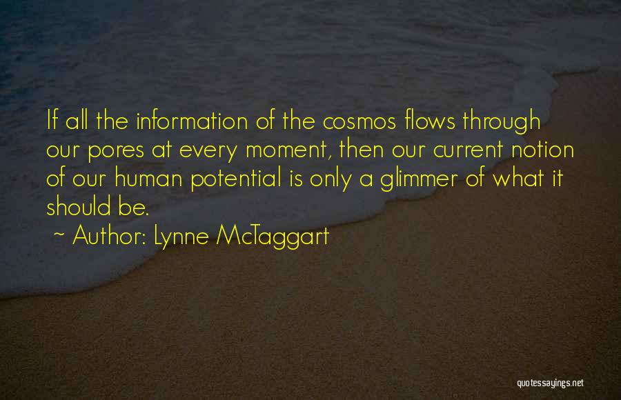 Lynne McTaggart Quotes 636797