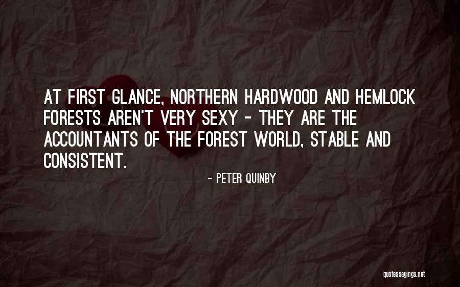 Lynnsey Nydam Quotes By Peter Quinby Lynnsey Nydam Quotes By Peter Quinby