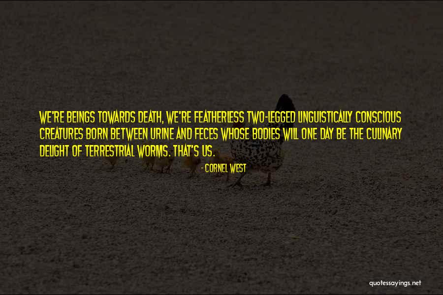 Lynx Advert Quotes By Cornel West Lynx Advert Quotes By Cornel West