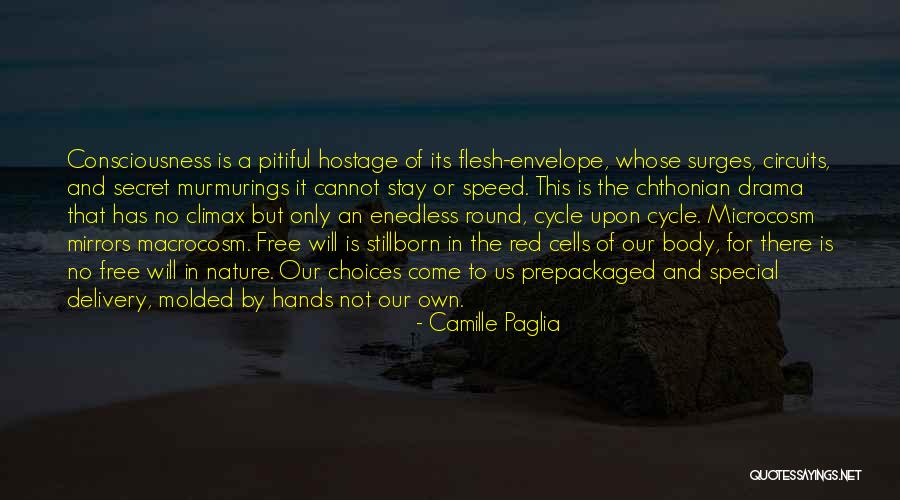 Lyonesse The Well Between The Worlds Quotes By Camille Paglia