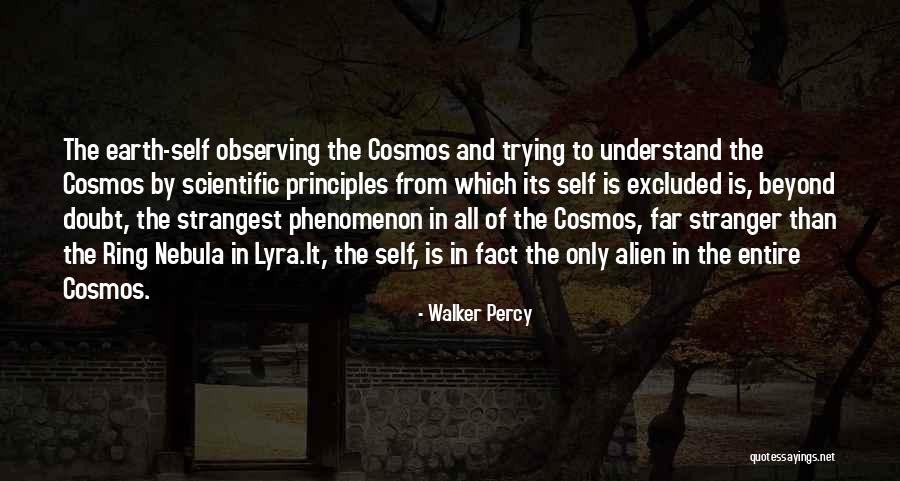 Lyra And Will Quotes By Walker Percy Lyra And Will Quotes By Walker Percy
