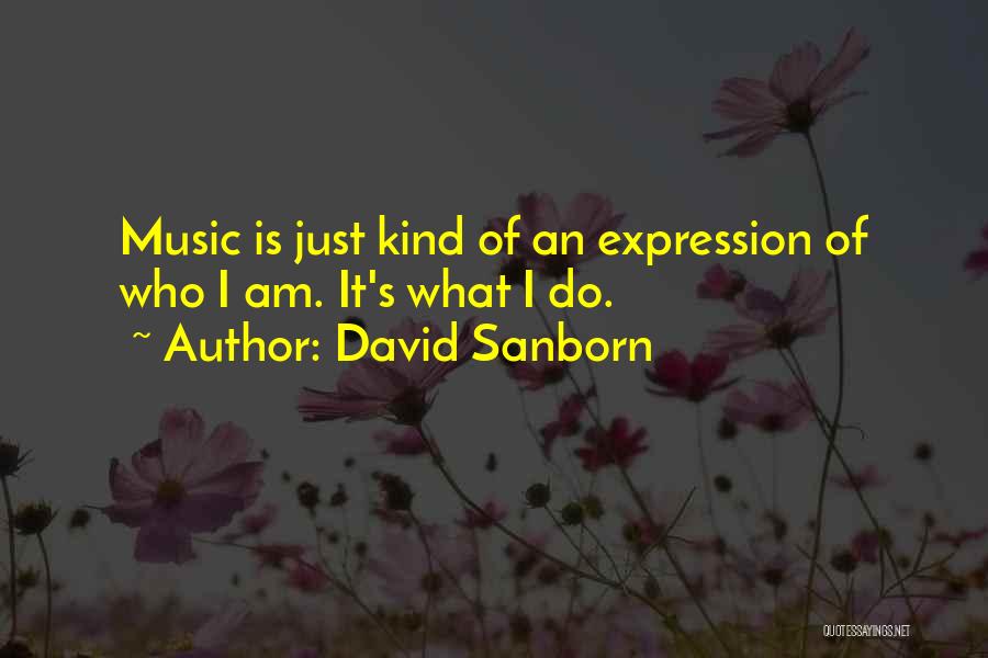 Lyrica Side Effects Quotes By David Sanborn