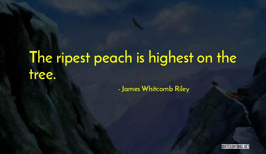 Lysaght Roofing Quotes By James Whitcomb Riley Lysaght Roofing Quotes By James Whitcomb Riley