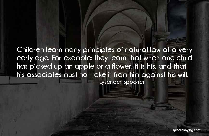 Lysander Spooner Quotes 1026608 Lysander Spooner Quotes 1026608